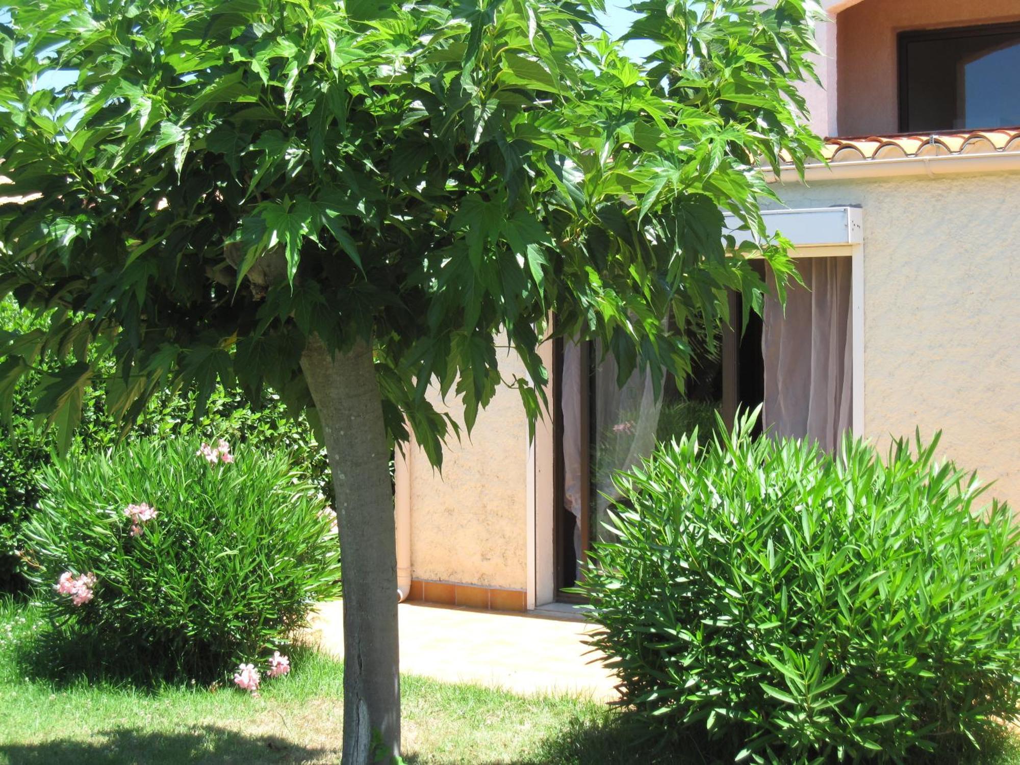 Cargèse Residence Les Bell'Ombres المظهر الخارجي الصورة
